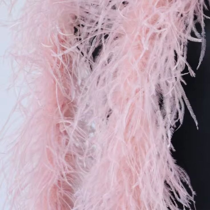 https://flyfiercefab.com/wp-content/uploads/2026/01/2-Meter-Ostrich-Pink-Leather-Ali-Express-Feather-Boa.png